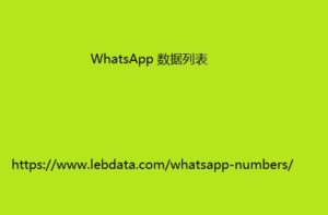 WhatsApp 数据列表