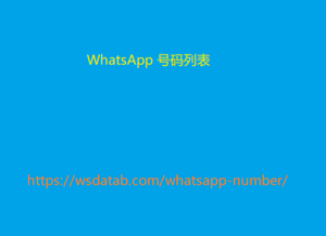 WhatsApp 号码列表