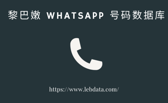 黎巴嫩 WhatsApp 号码数据库