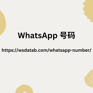 WhatsApp 号码